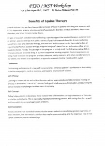 benefits of equine therapy pg1 001