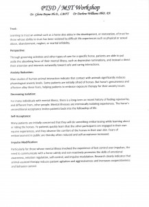 benefits of equine therapy pg2 001