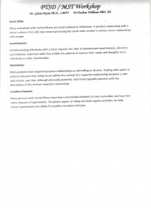 benefits of equine therapy pg3 001